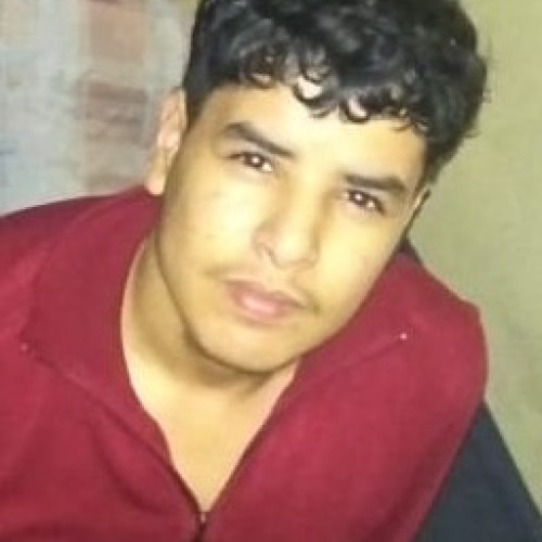 adil b.