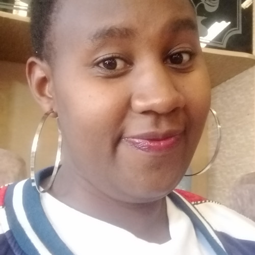 colletor n. profile photo