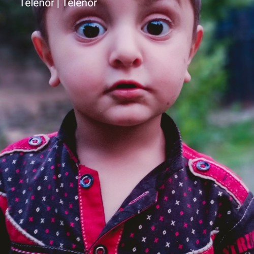 Muhammad k.