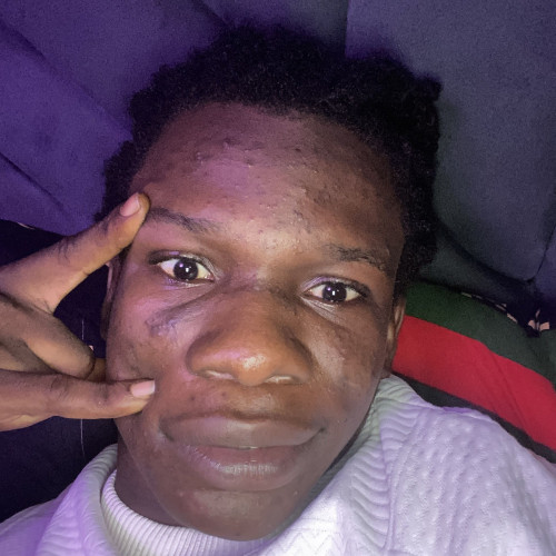 Daniel N. profile photo