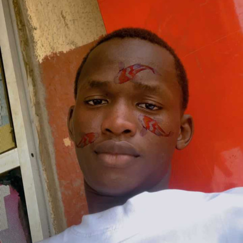 falaja T. profile photo