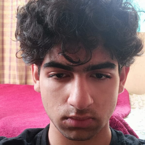 Wamiq  M. profile photo