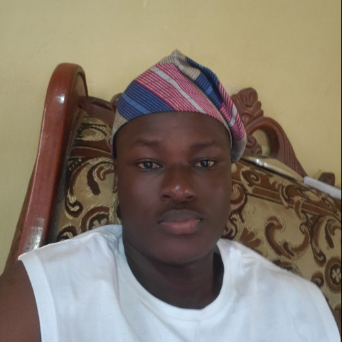 Olayiwola R. profile photo
