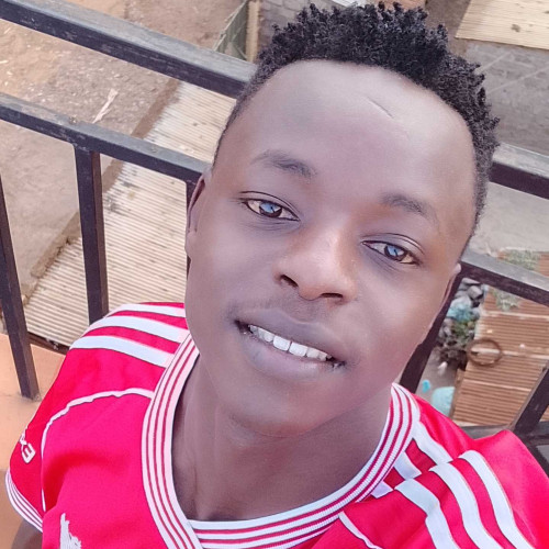 TEDDY N. profile photo