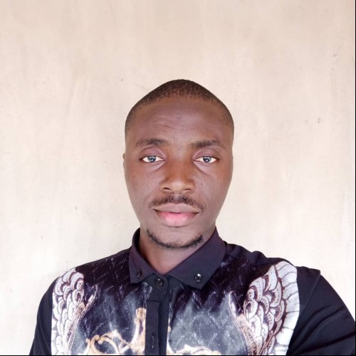 Abdulroqeeb O. profile photo