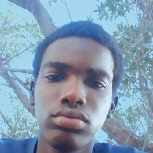 Sani  D. profile photo