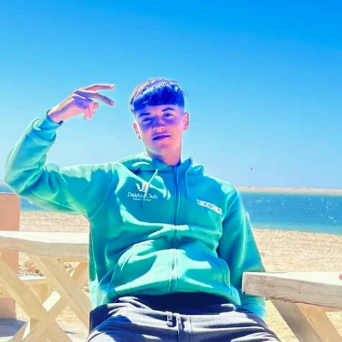 Abdelmajid S.
