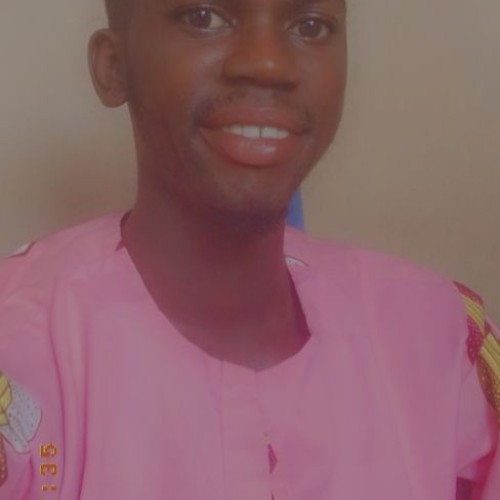 Osarumwense O. profile photo
