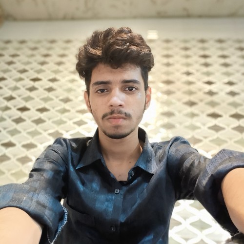 Aryan S.
