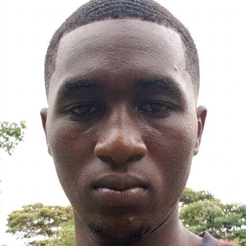 Stewarth K. profile photo
