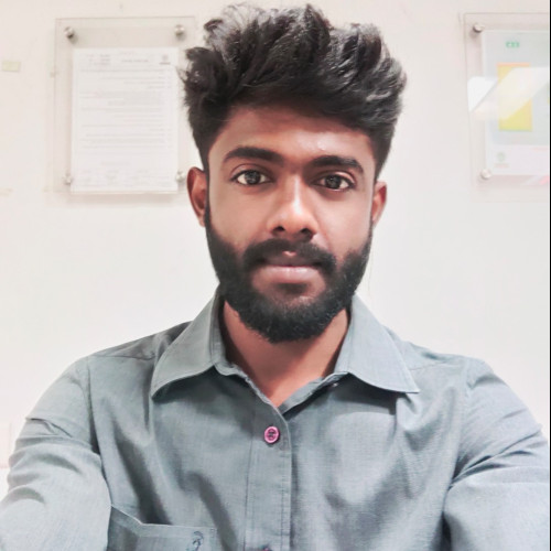 SIVARAMAN  D. profile photo