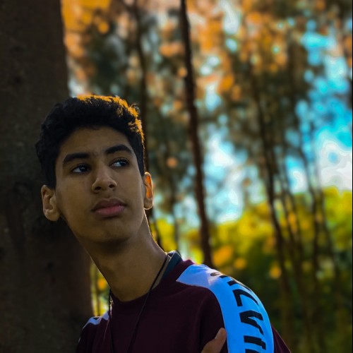 Ziyad A.