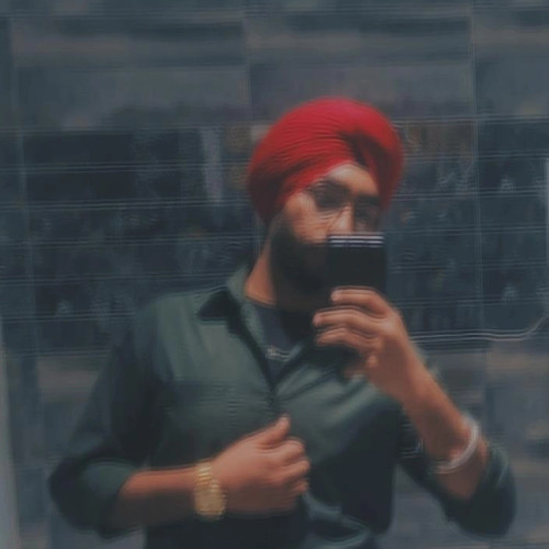 Rahulpreet S. profile photo