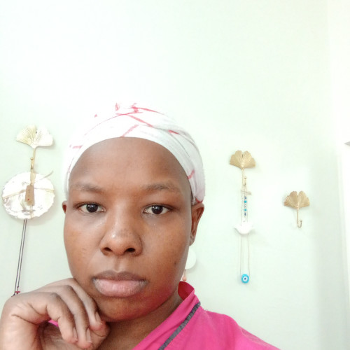 spinis n. profile photo