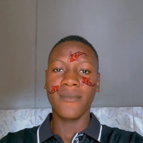 Gbenga  A. profile photo