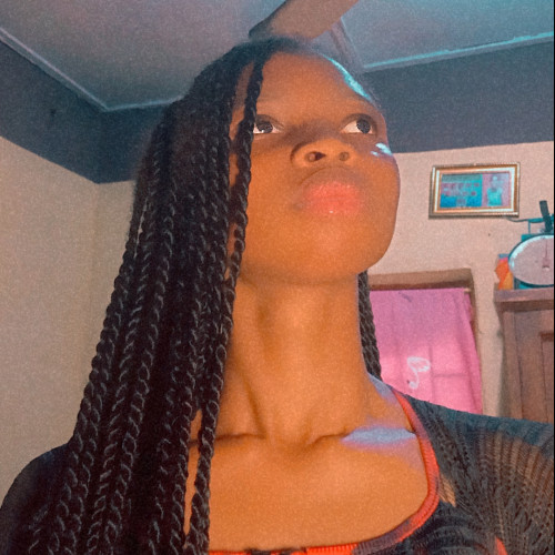 sowunmi O. profile photo
