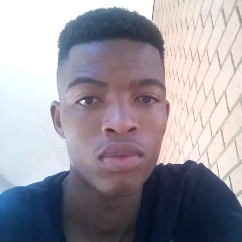 Dylan S. profile photo