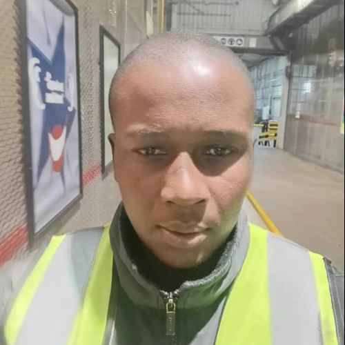 theo p. profile photo