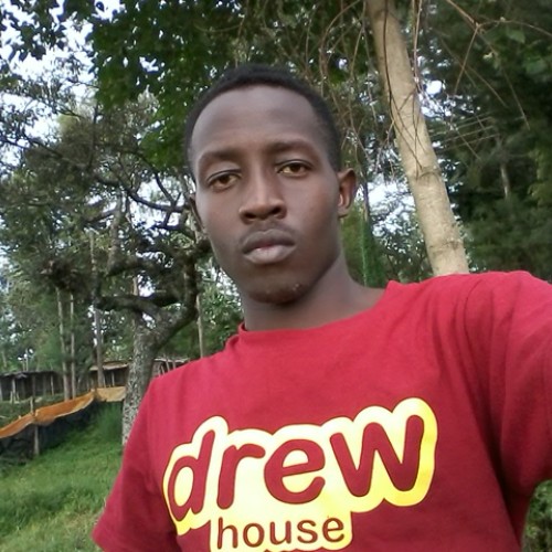 Dan K. profile photo