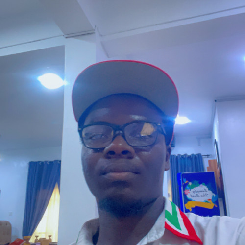 Damilola  S. profile photo