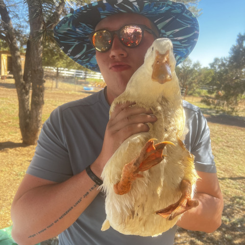 Ian G. profile photo