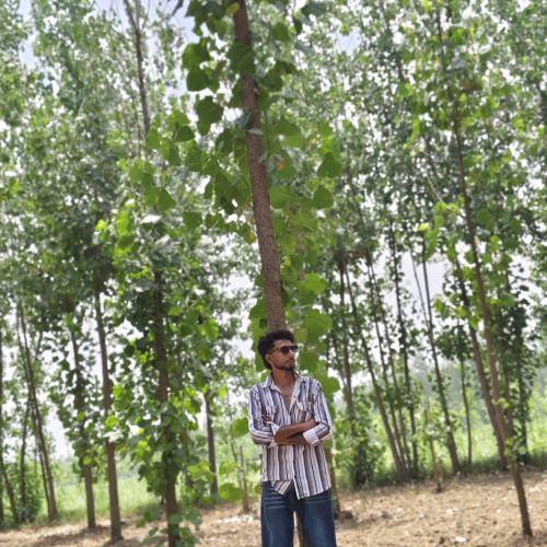Akib G. profile photo