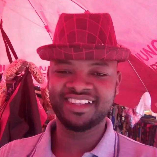 Vicent M. profile photo