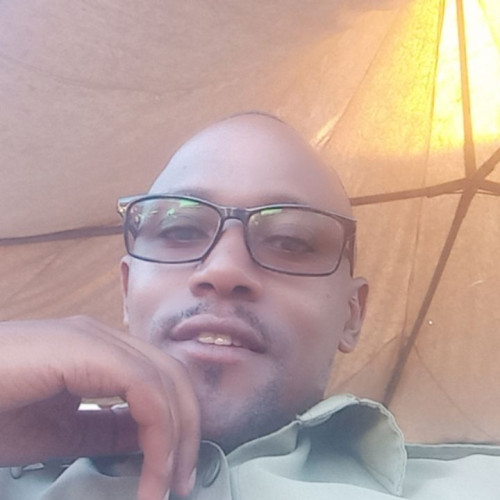 Daniel K. profile photo