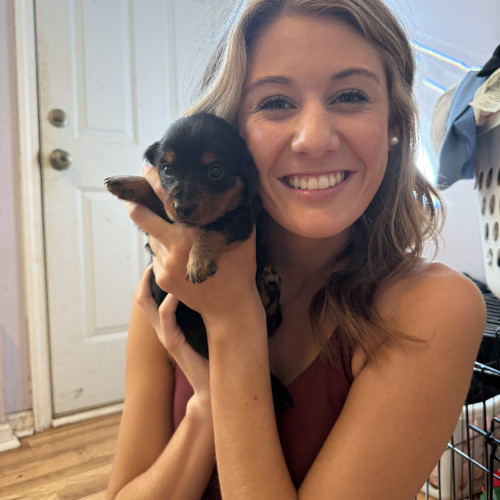 Bailey C. profile photo