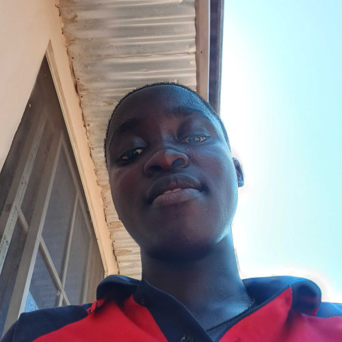 Uche K. profile photo
