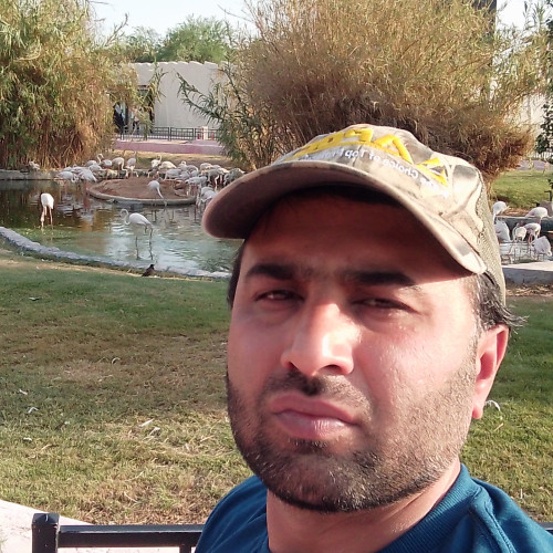 Saif A. profile photo