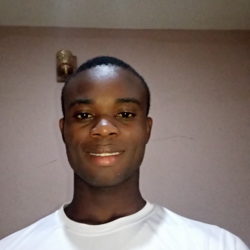 Chidubem O.