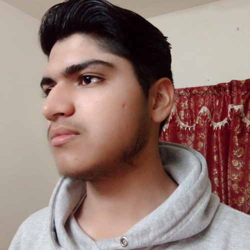 Muhammad M. profile photo