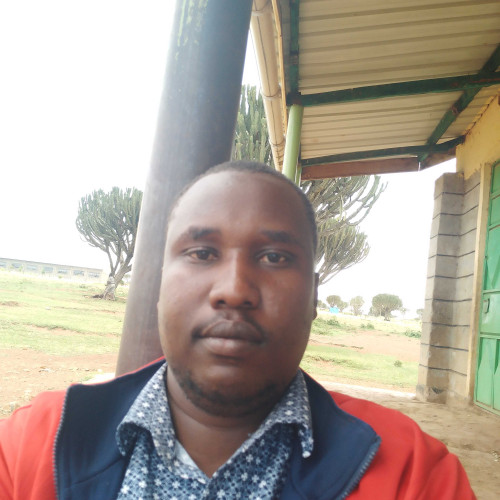 Ibrahim M. profile photo