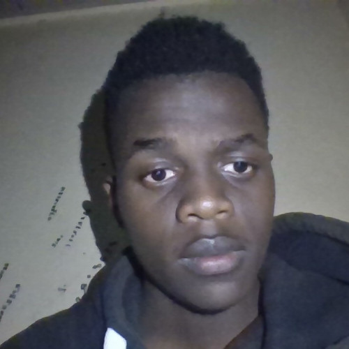 Shalom M. profile photo