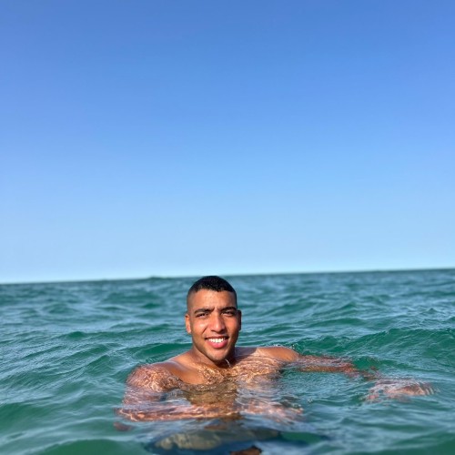 Mehdi D.
