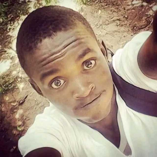 Sharifu S. profile photo