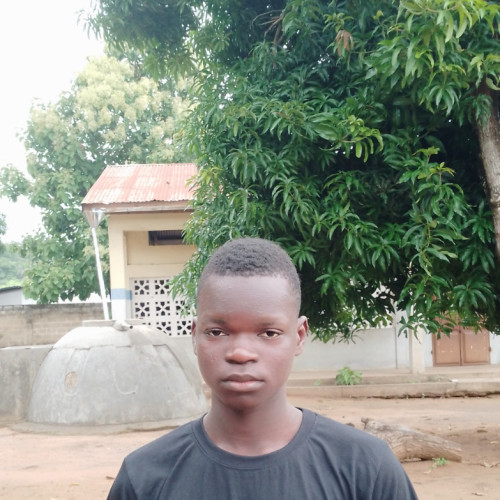Kossoun Alexandre  D. profile photo