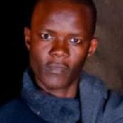 ALLAN M. profile photo