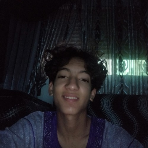 Ahmed E. profile photo