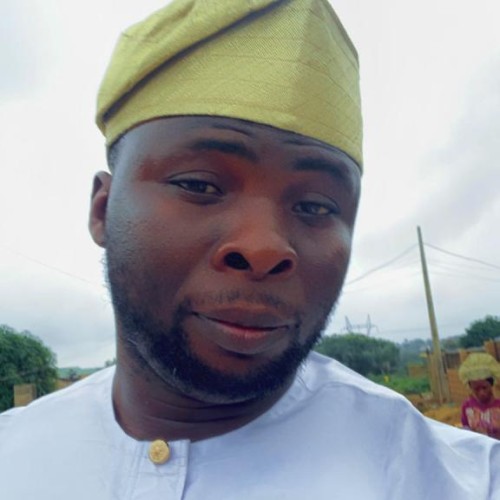Adeolu A. profile photo