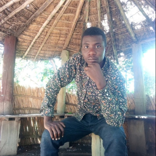 Stephano R. profile photo