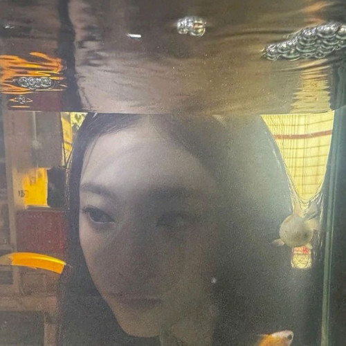 Zixk F. profile photo