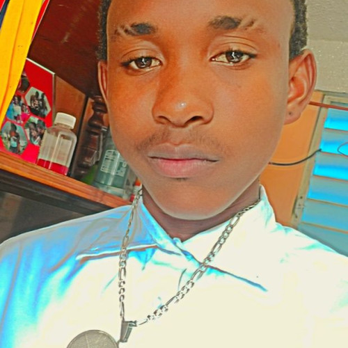 Stephan L. profile photo