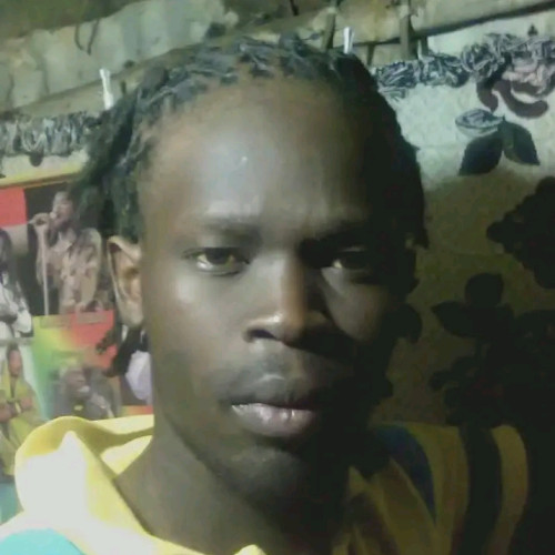 Paul T. profile photo