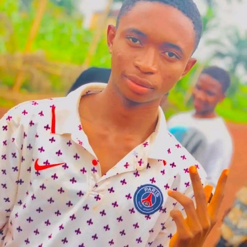 Ezugwu  E. profile photo
