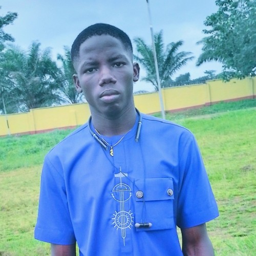 Okonkwo  C.