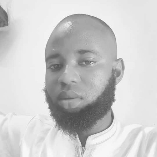 FASESAN T. profile photo
