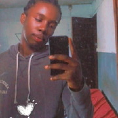 David A. profile photo