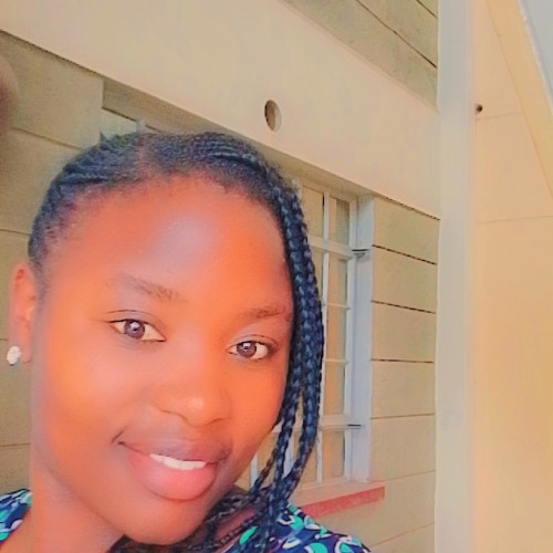 Bridghit  Z. profile photo